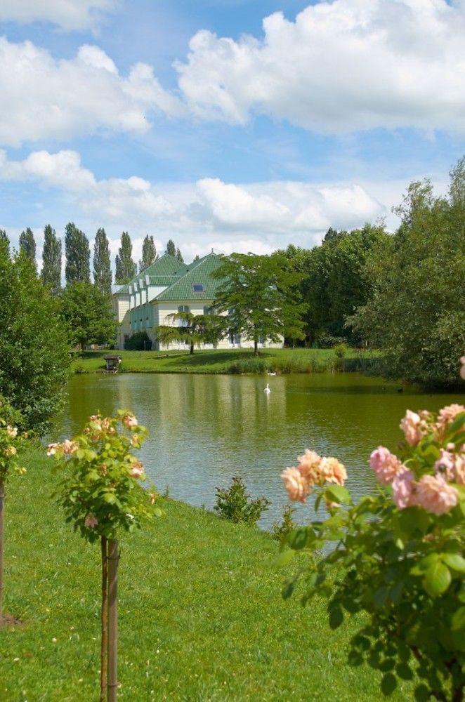 Hotel Restaurant Le Rive Gauche Joigny Eksteriør billede